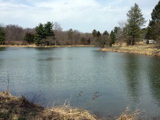 Property photo 28 - LAND AUCTION - 429+/- ACRES OFFERED IN 6 TRACTS IN PREBLE COUNTY, OHIO